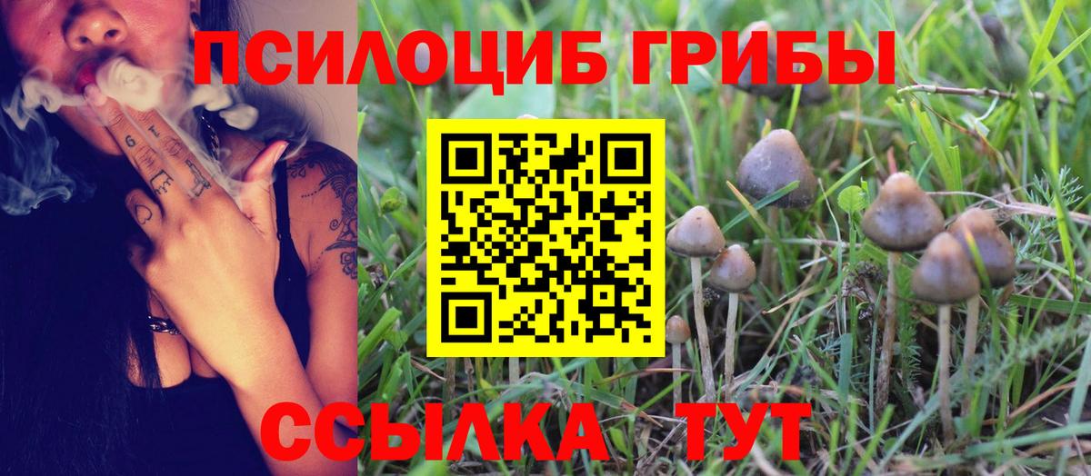 Галлюциногенные грибы Magic Shrooms Выкса