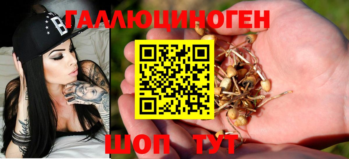 Выкса  Галлюциногенные грибы Magic Shrooms  Вход с VPN 