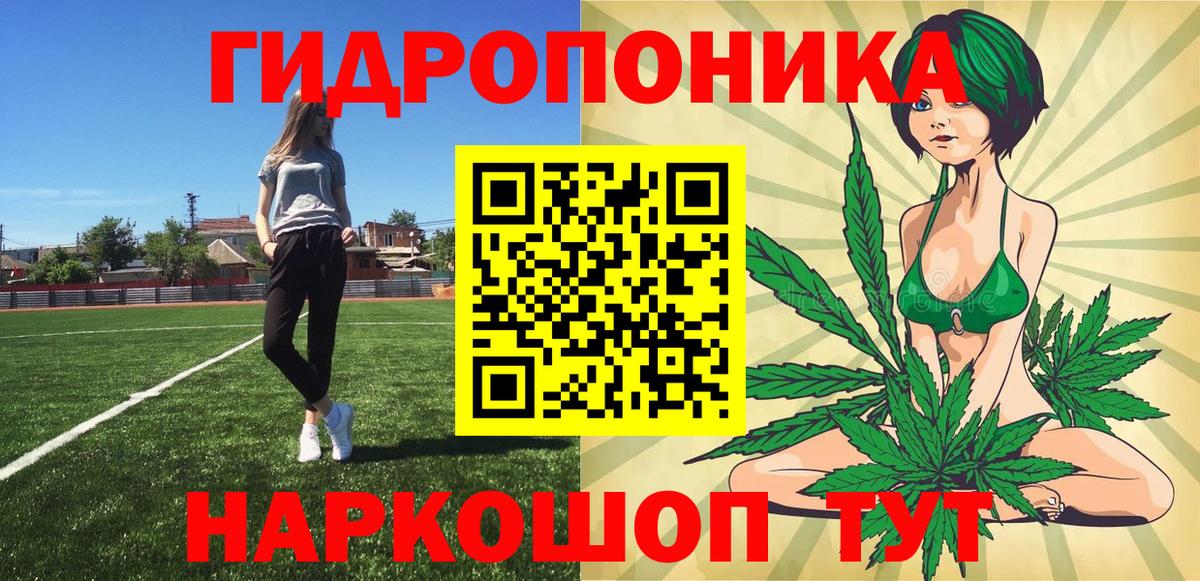 Каннабис тримм  Вход с VPN  Выкса  Каннабис Amnesia  Каннабис White Widow 